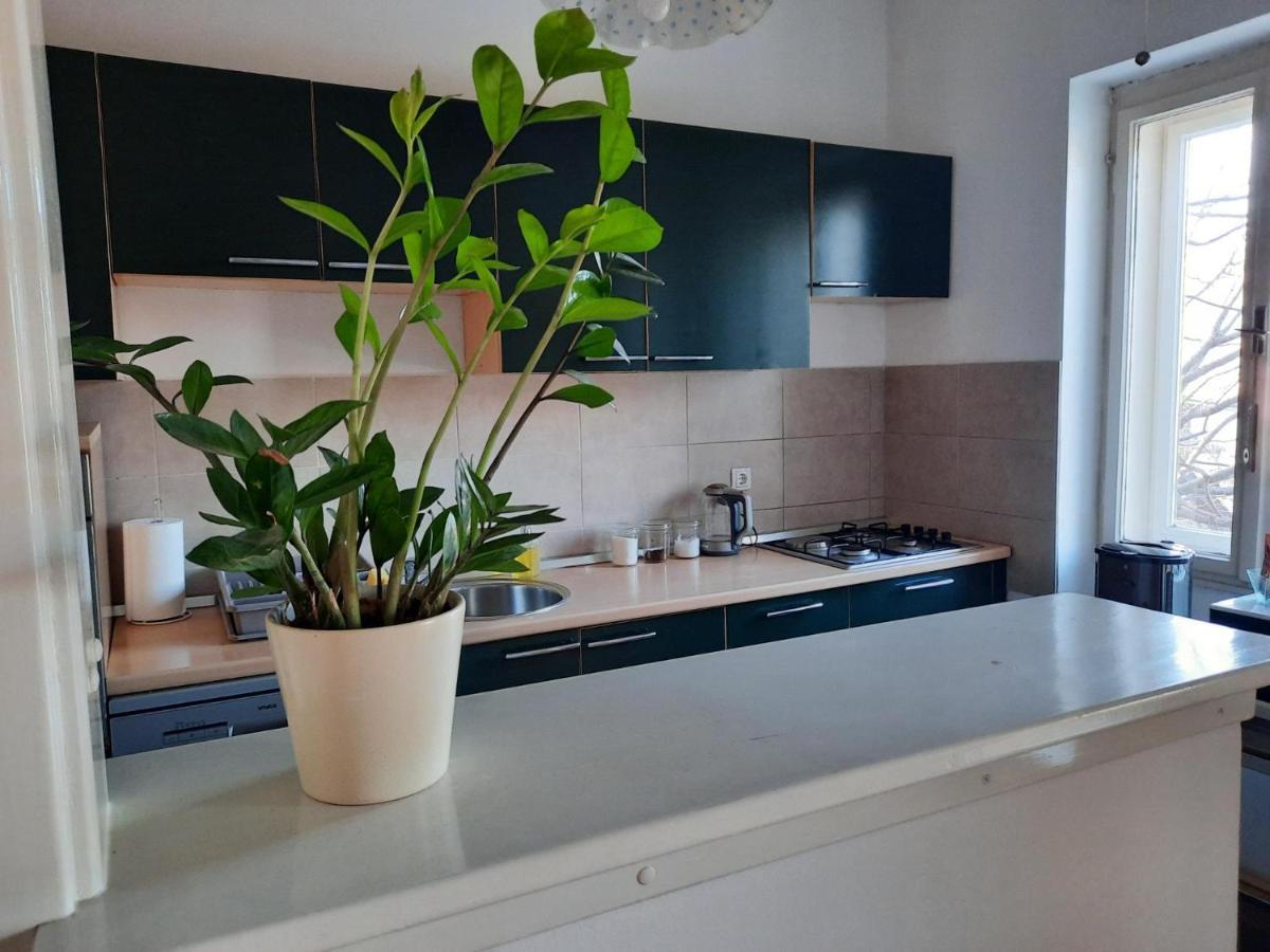 Apartman Soda Ogulin Exteriér fotografie